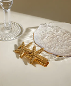 Fishi Big Star Hairpin