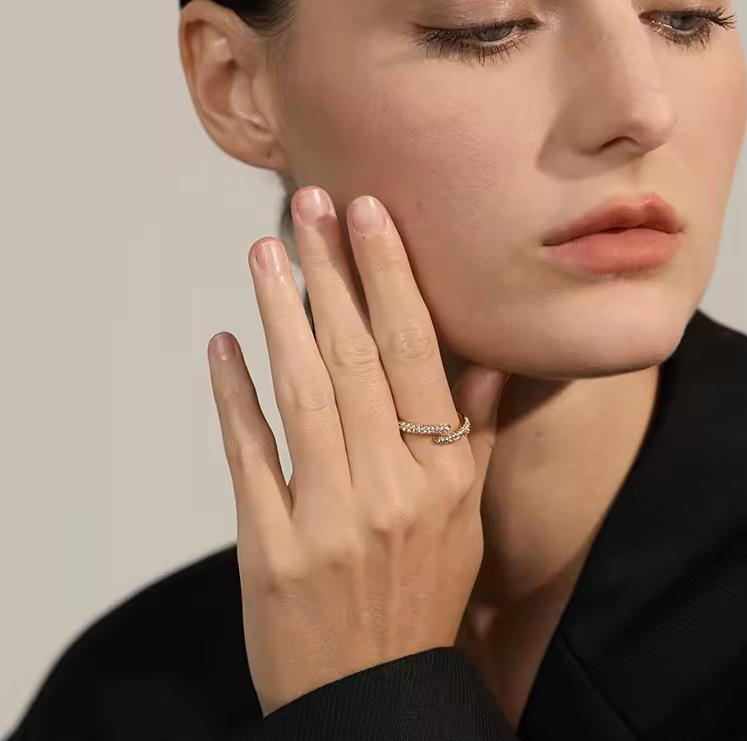 Wilini Shiny Diamond Rings✨
