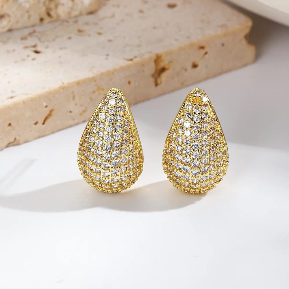 Sophia Party Bottega Earrings