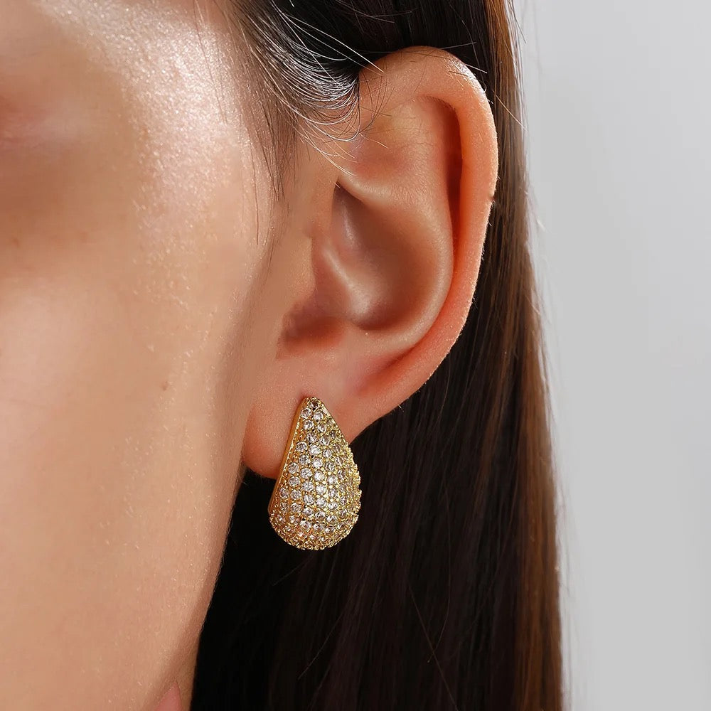 Sophia Party Bottega Earrings