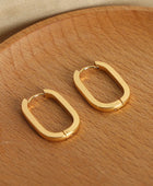 Dazzle Box Daily Wear Hoops