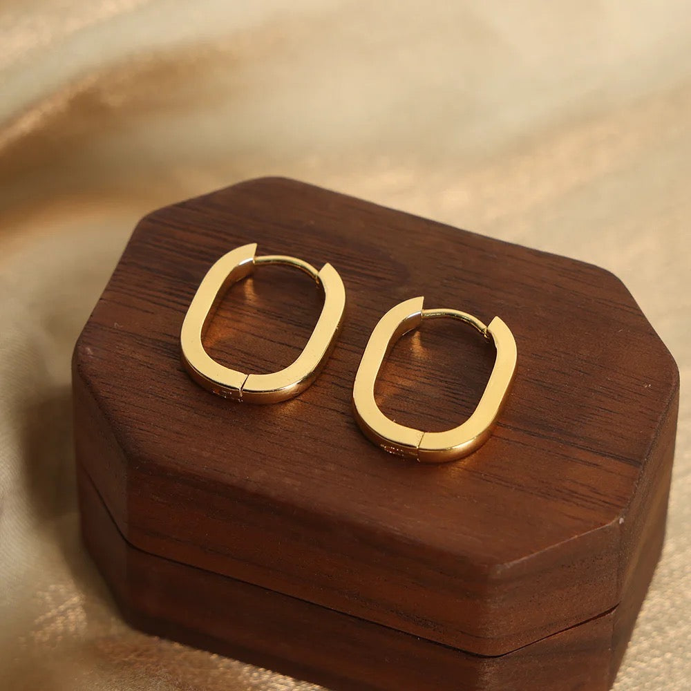 Dazzle Box Daily Wear Hoops